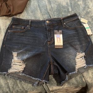 Sofia Vergara Collection Jeans Lila Shorts